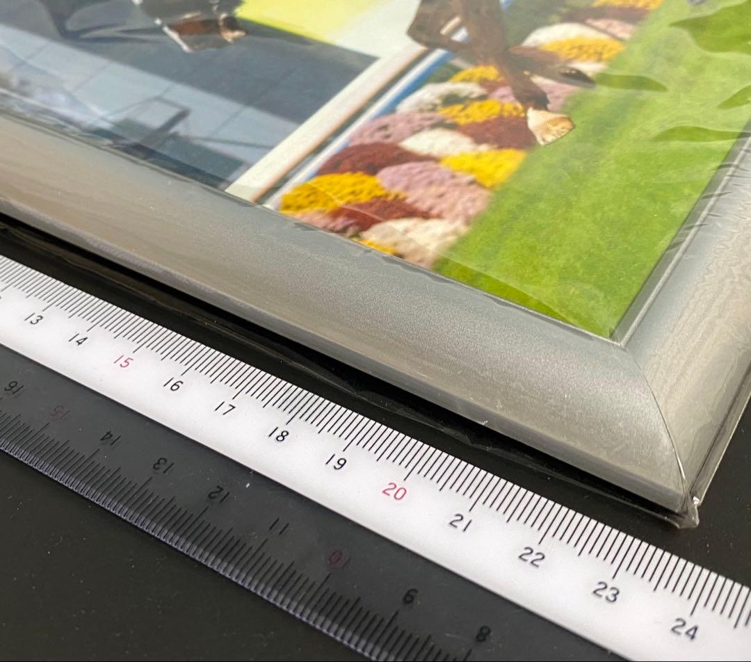 ダイワメジャー 非売品 パネル 新品未開封