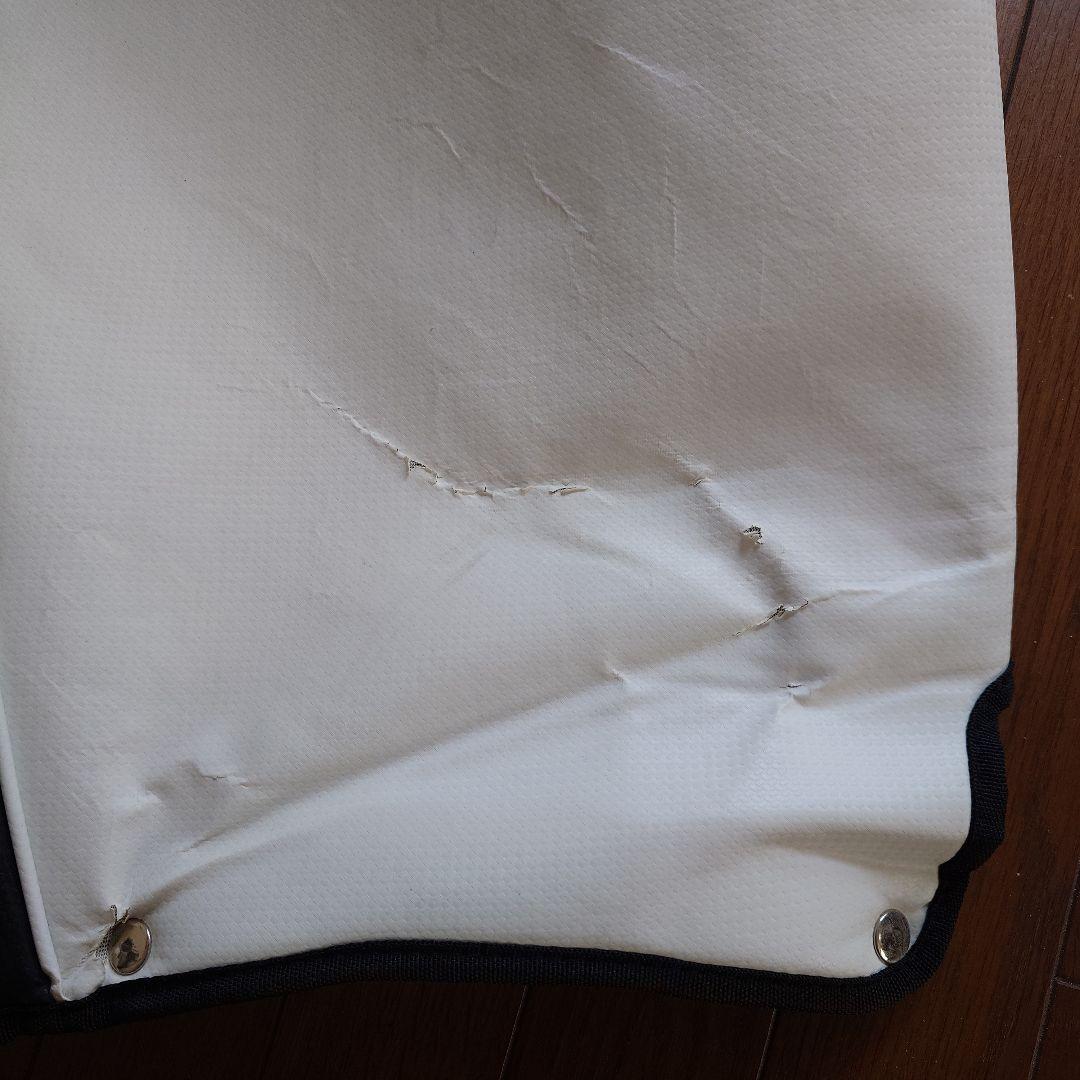 【週末特価2/1まで】PING キャディーバッグ