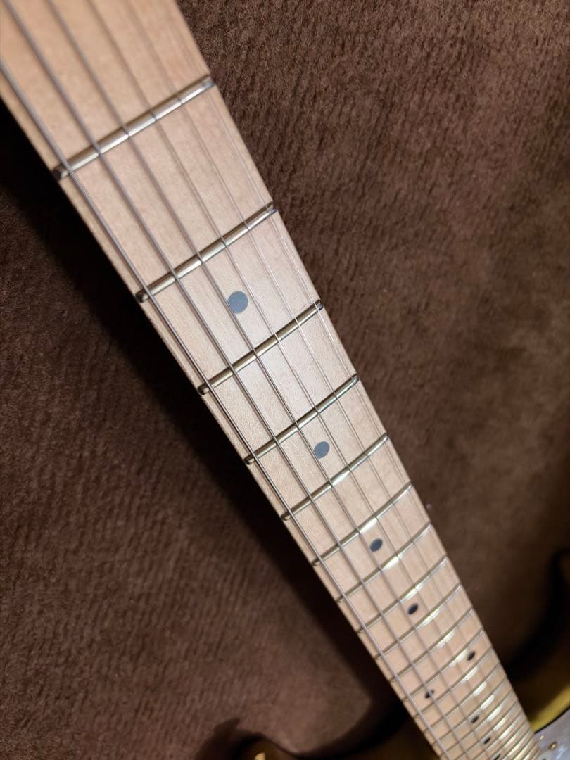 E-SNAPPER TO -Eclipse Gold- (大村孝佳モデル)