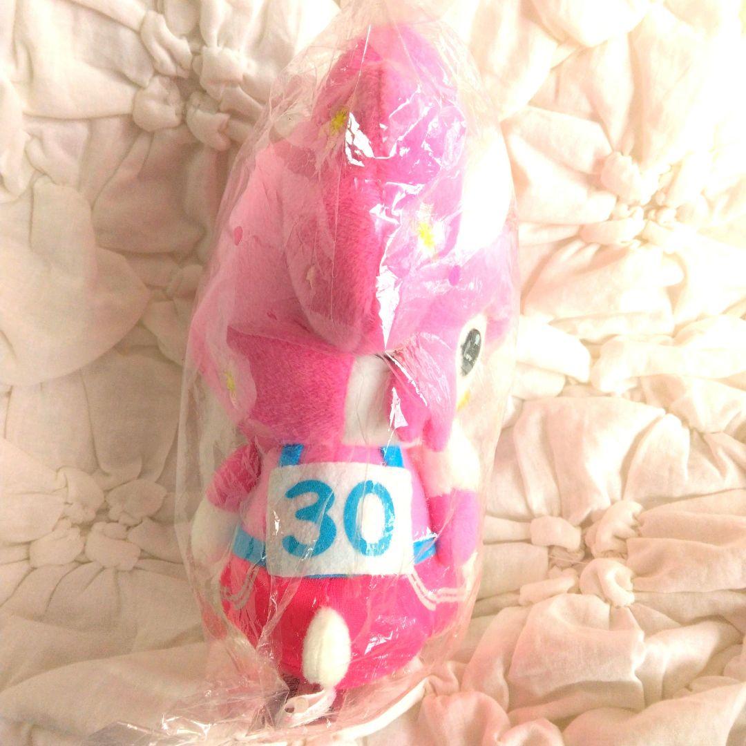 ご当地キティ　ハローキティ　 清水公園　ぬいぐるみ　キティ　サンリオ　桜