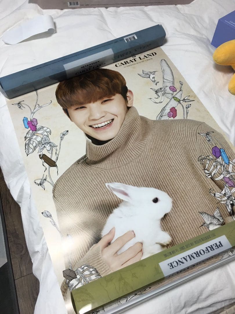 SEVENTEEN 2017 ペンミ ボカチ ポスターセット