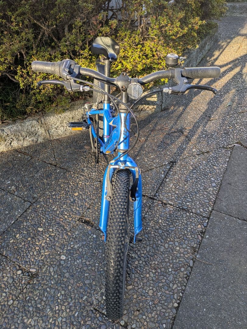 自転車 20インチ キッズバイク ジャイアント