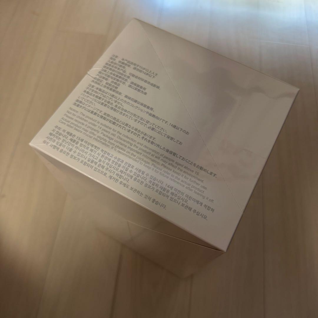 Big into Energy ラブブ ぬいぐるみ　1BOXアソート　正規品