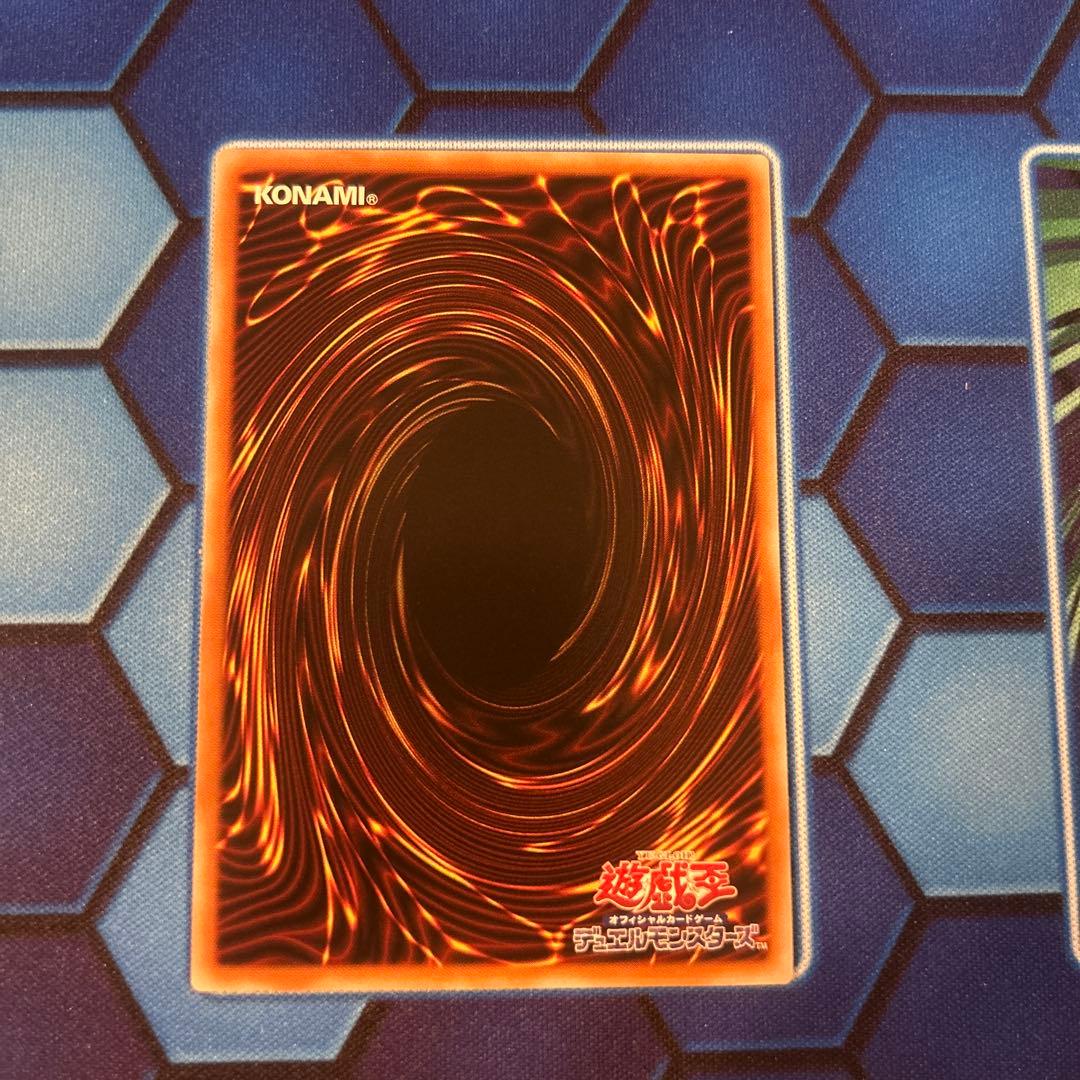 四花繚乱の霊使い　プリシク　遊戯王　BLAZING DOMINION