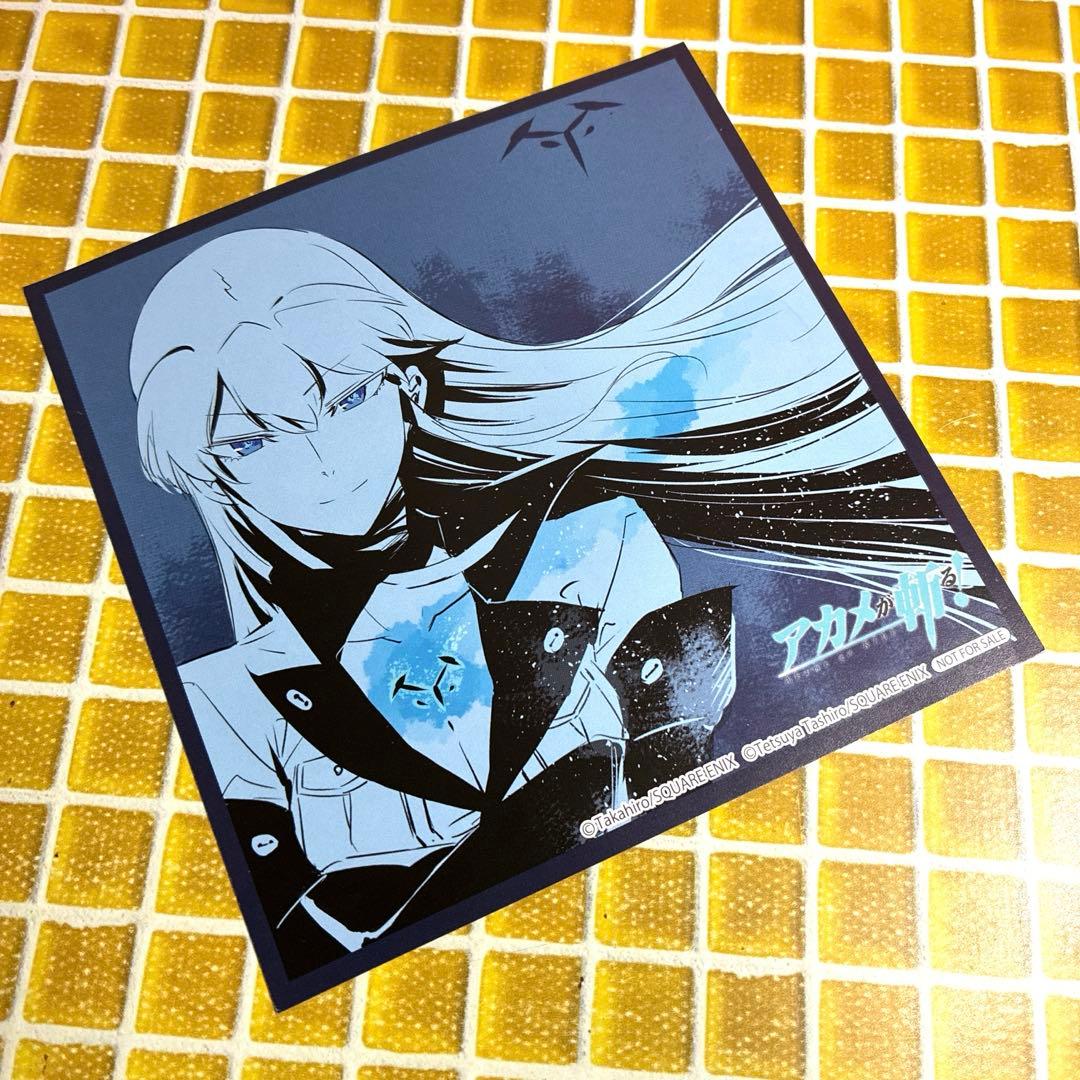 アカメが斬る　特典　イラストカード　エスデス　非売品　レア
