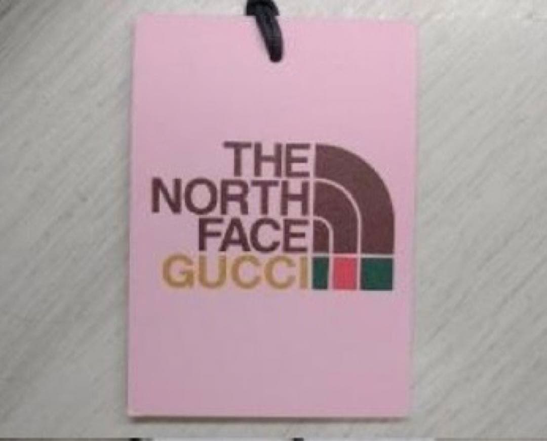 最安値　新品未使用　Gucci The North Face Tent テント