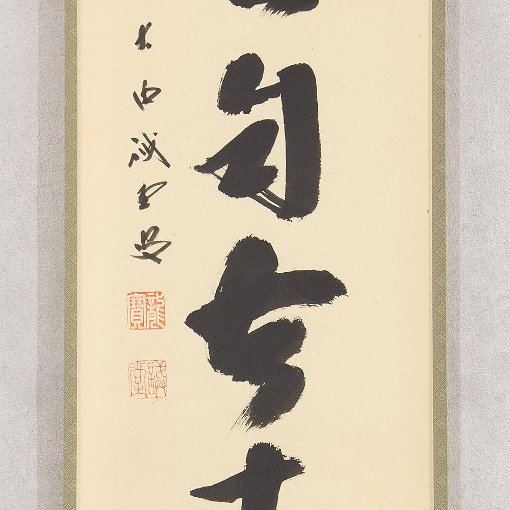 藤井誠堂「白雲自去来」茶掛一行書 掛軸 大徳寺515世管長 三玄院住職