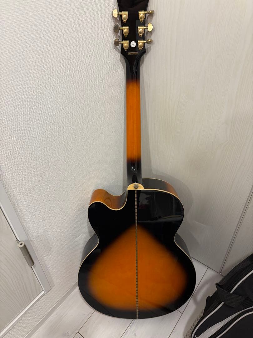 Epiphone EJ-200CE/VS専用ケース付