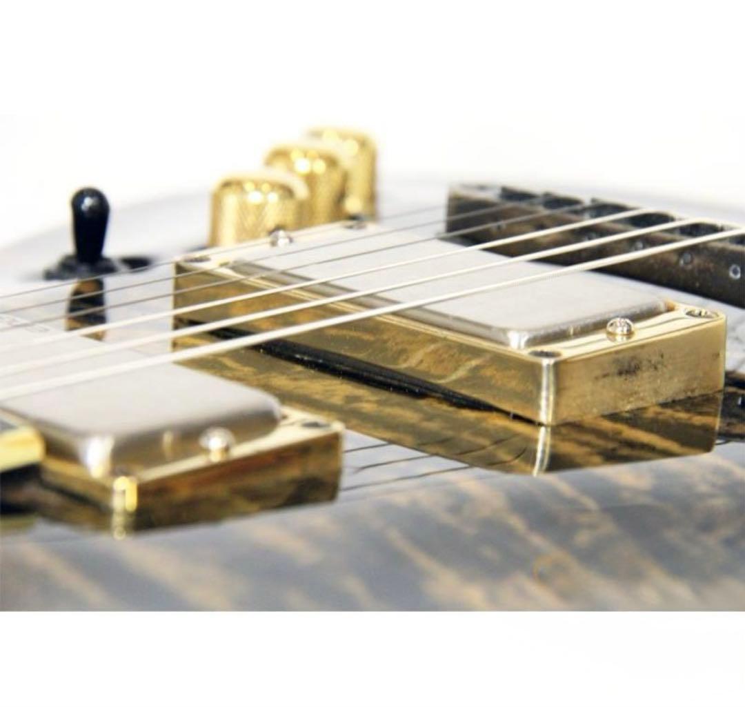 ギター SCHECTER / Diamond Series Exotic Star