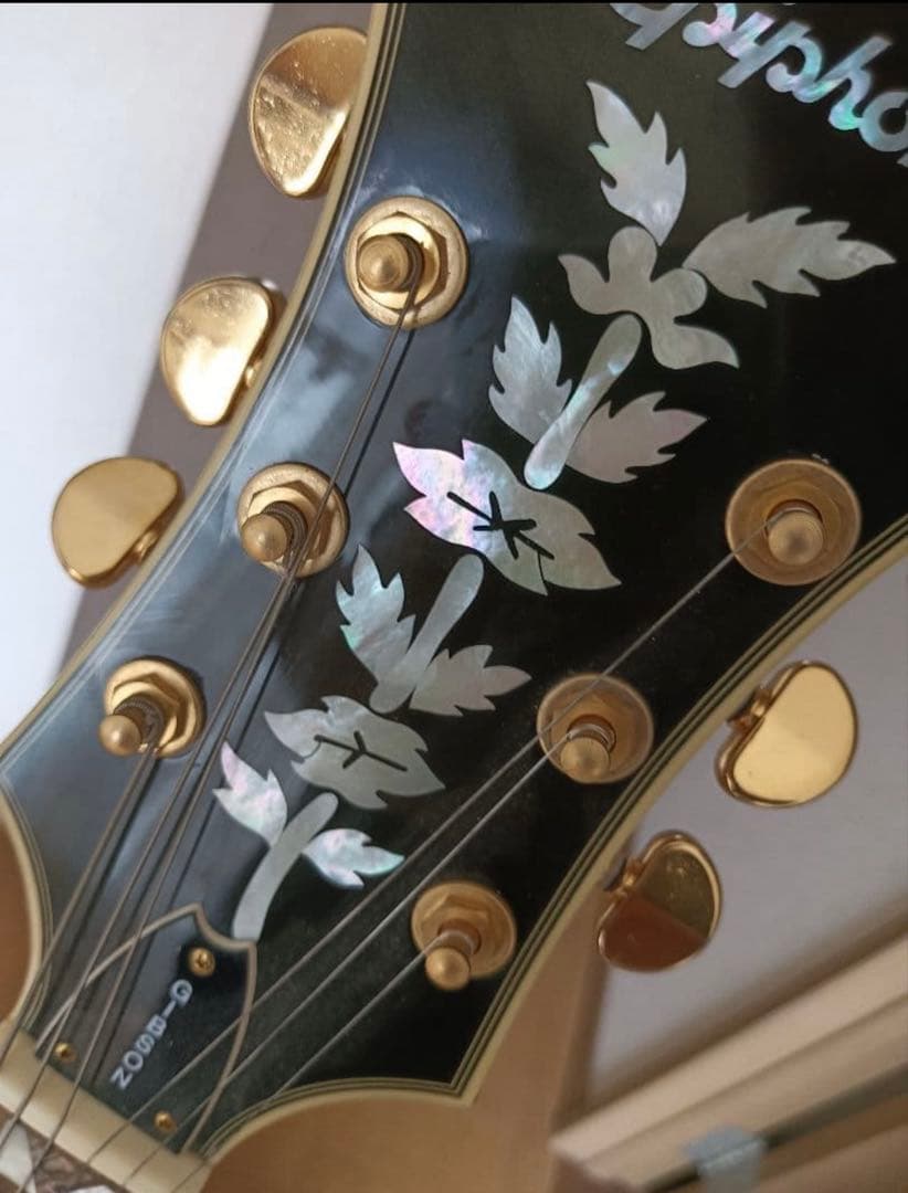 Epiphone Sheraton-II エピフォン　シェラトン Ⅱ 超美品