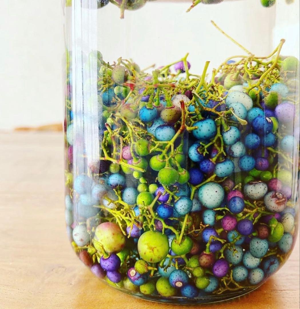 岩手県産 3kg 野ぶどう うまぶどう　冷凍クール便　250g×12袋