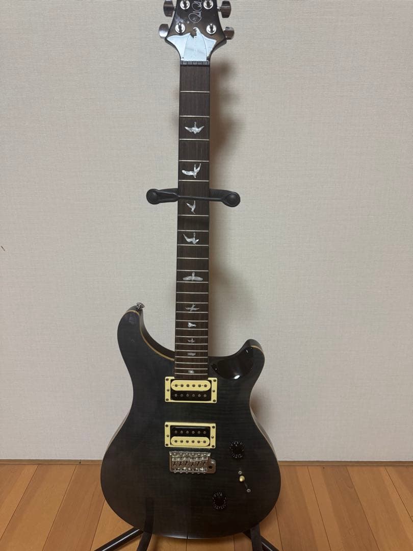 ギター Paul Reed Smith SE Custom