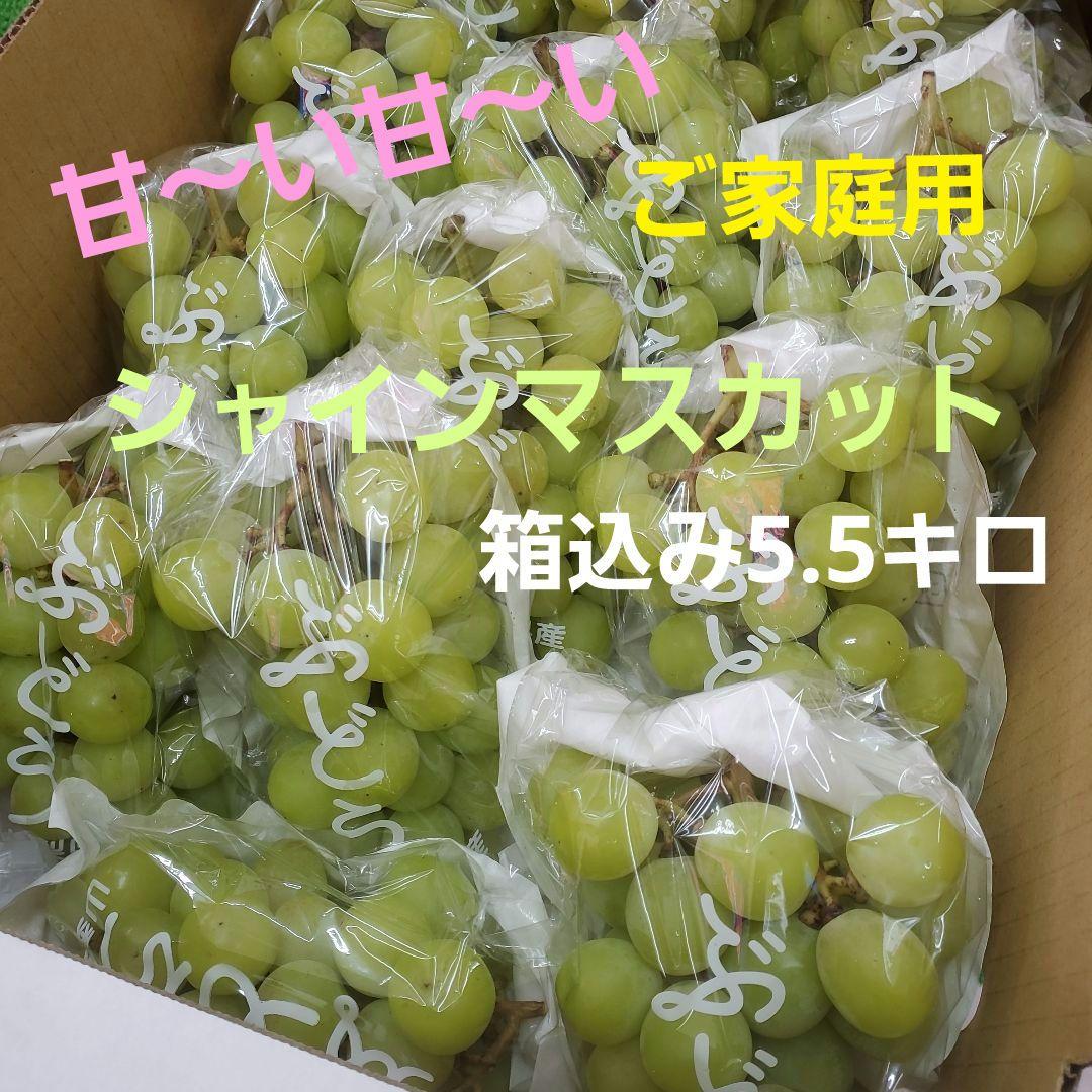 7️⃣ 山梨県産 シャインマスカット １３房入り 箱込み5.5キロ