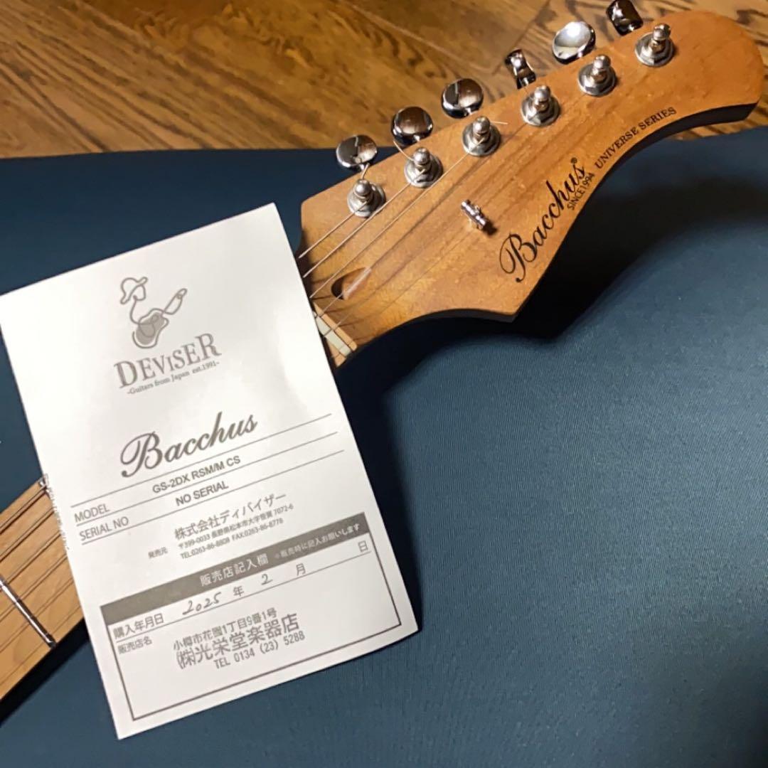★MOD★程度極上★送料無料★Bacchus GS-2DX RSM/M