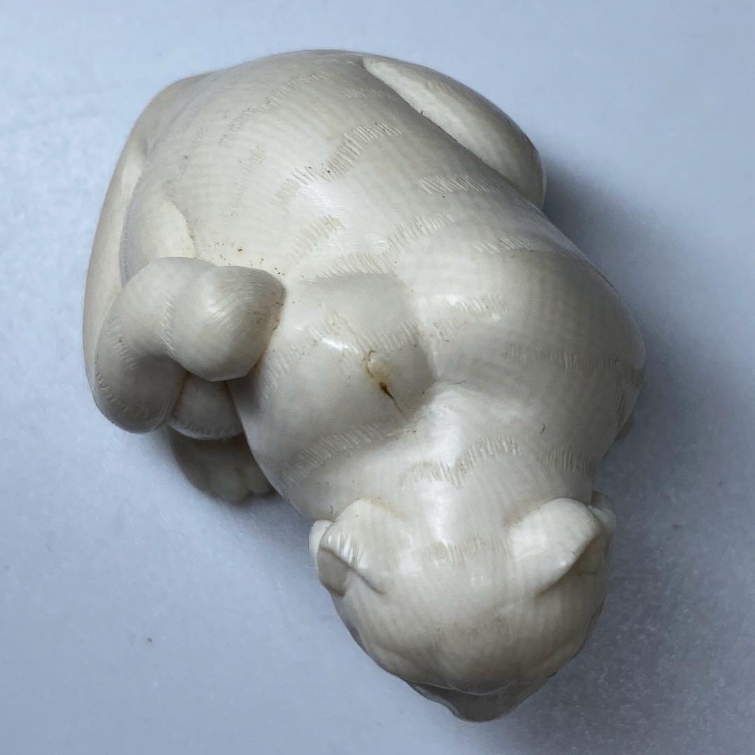 阿部賢次 根付 寅 ケース付 43g 東キ8-0207☆2F トサエオ