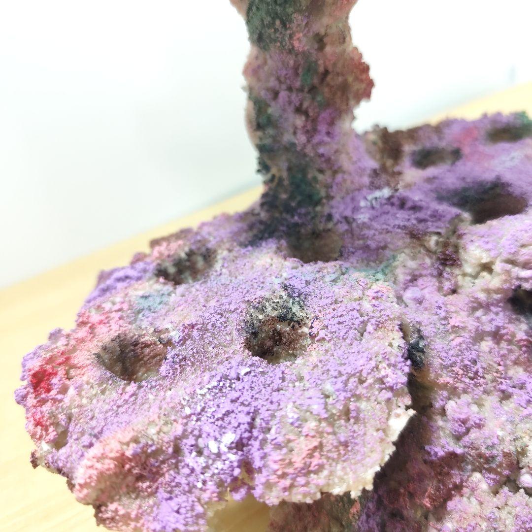 プラグ穴付き アク抜き不要人工ライブロック 海水水槽 レプリカ コーラルフラグ6