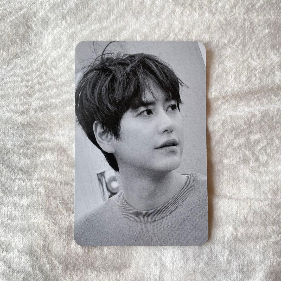 SUPER JUNIOR PANTONE キュヒョン トレカ