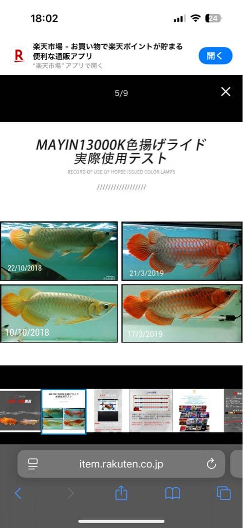 ウエッチアロワナマインライト13000k 150cm用