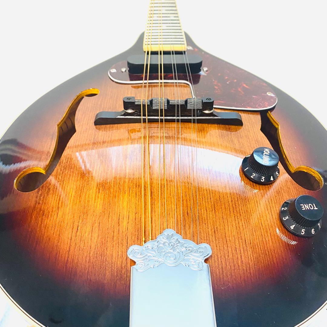 K.Garage VM-6E フラットマンドリン ハードケース付き