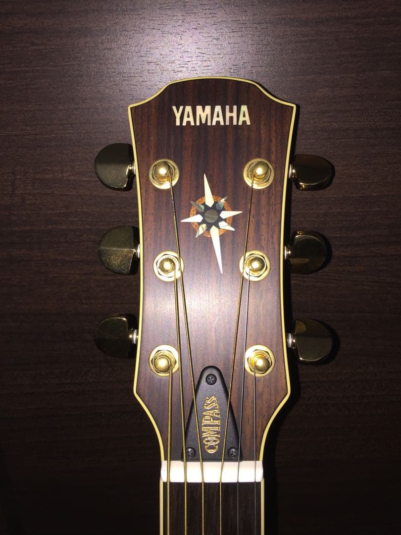佐野元春デビュー20周年ギター　YAMAHA CPX-15MS