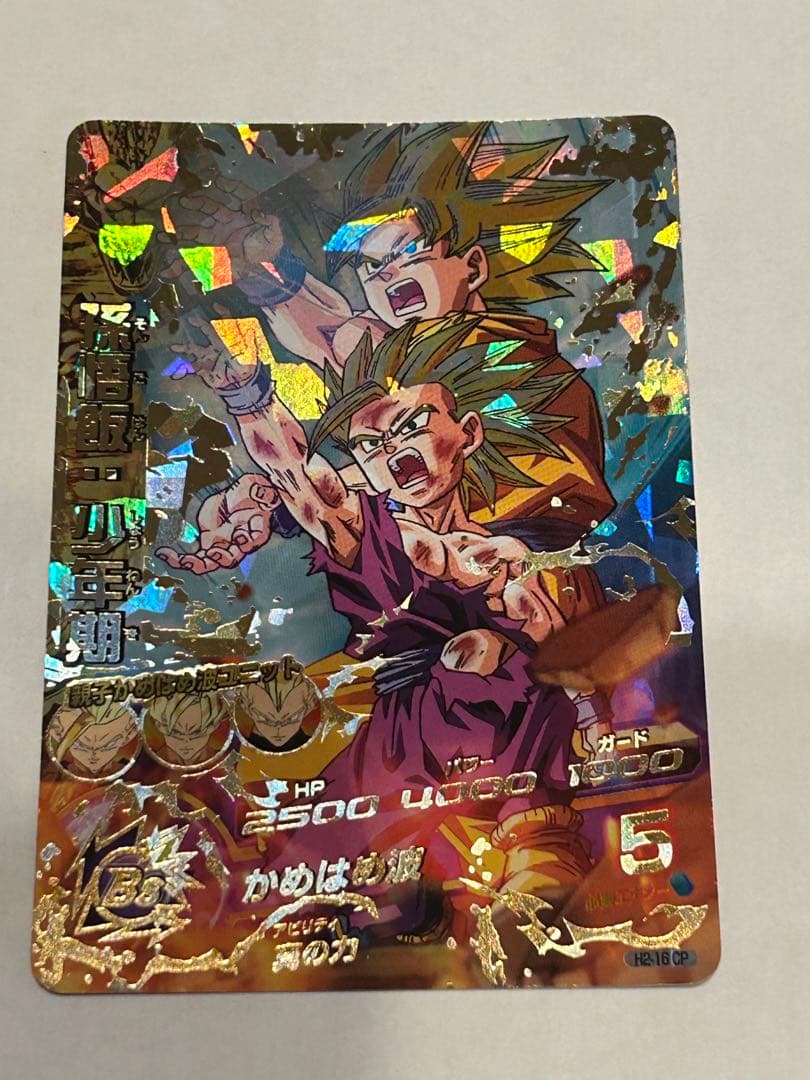 ドラゴンボール カード 孫悟飯 少年期