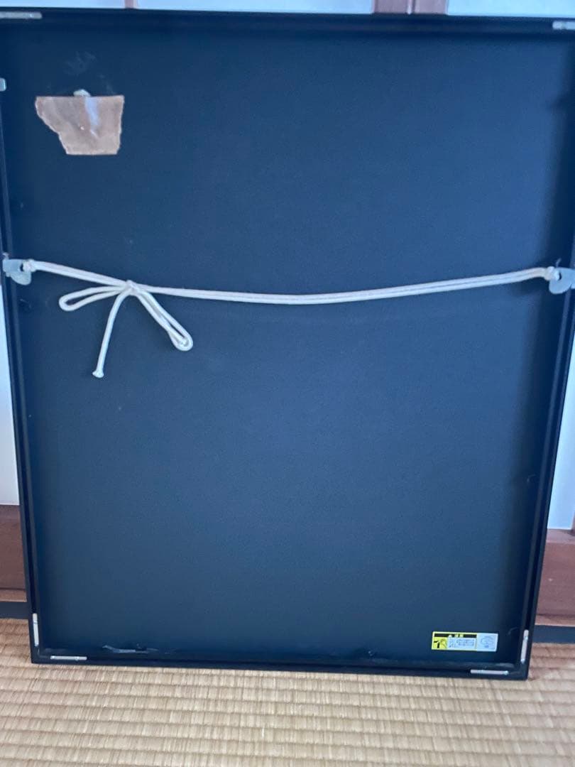 水生生物のモノクロアート作品 額50✖️60cm