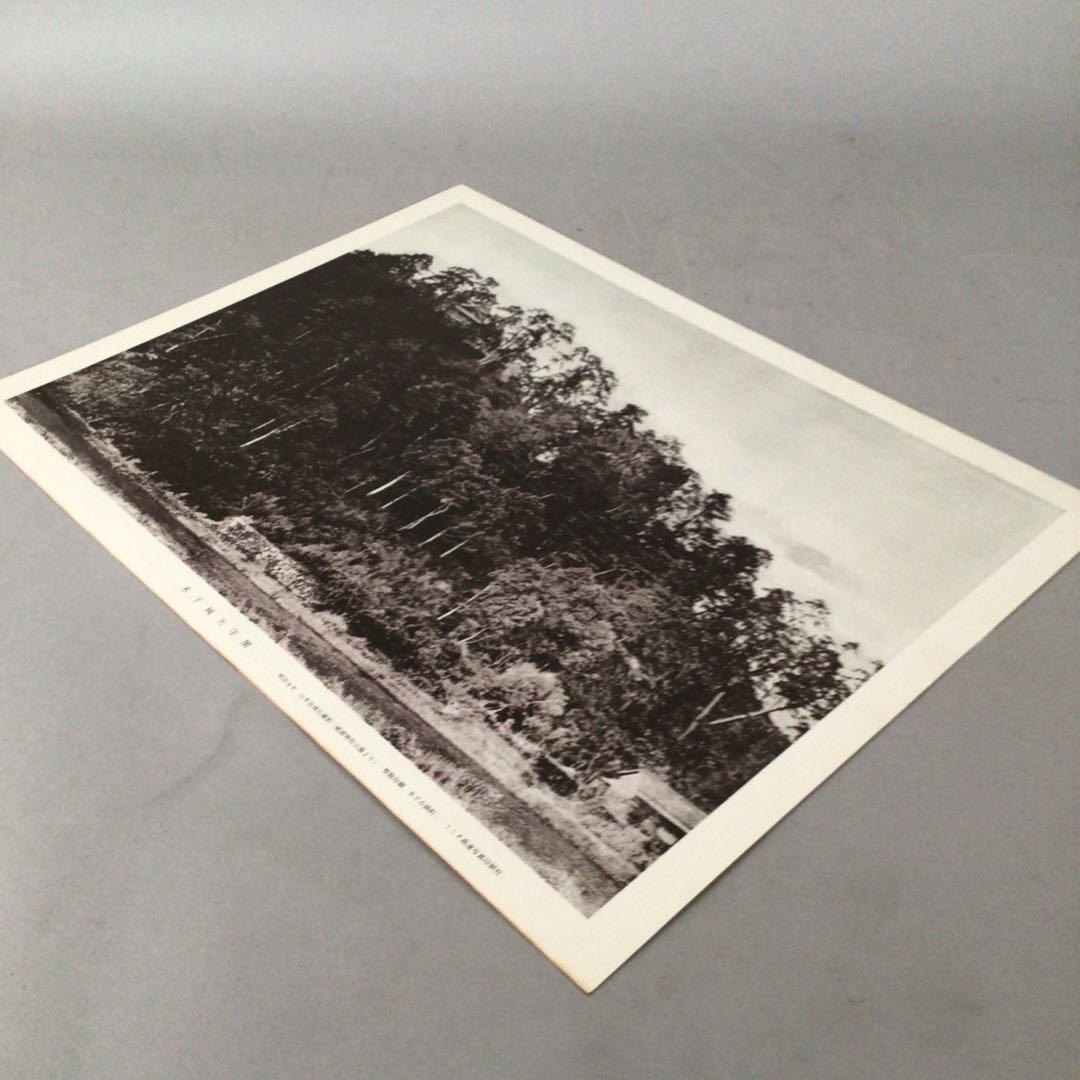 No5029 額装　米子城天守閣　明治９年撮影　トミタ高速写真印刷社　送料無料