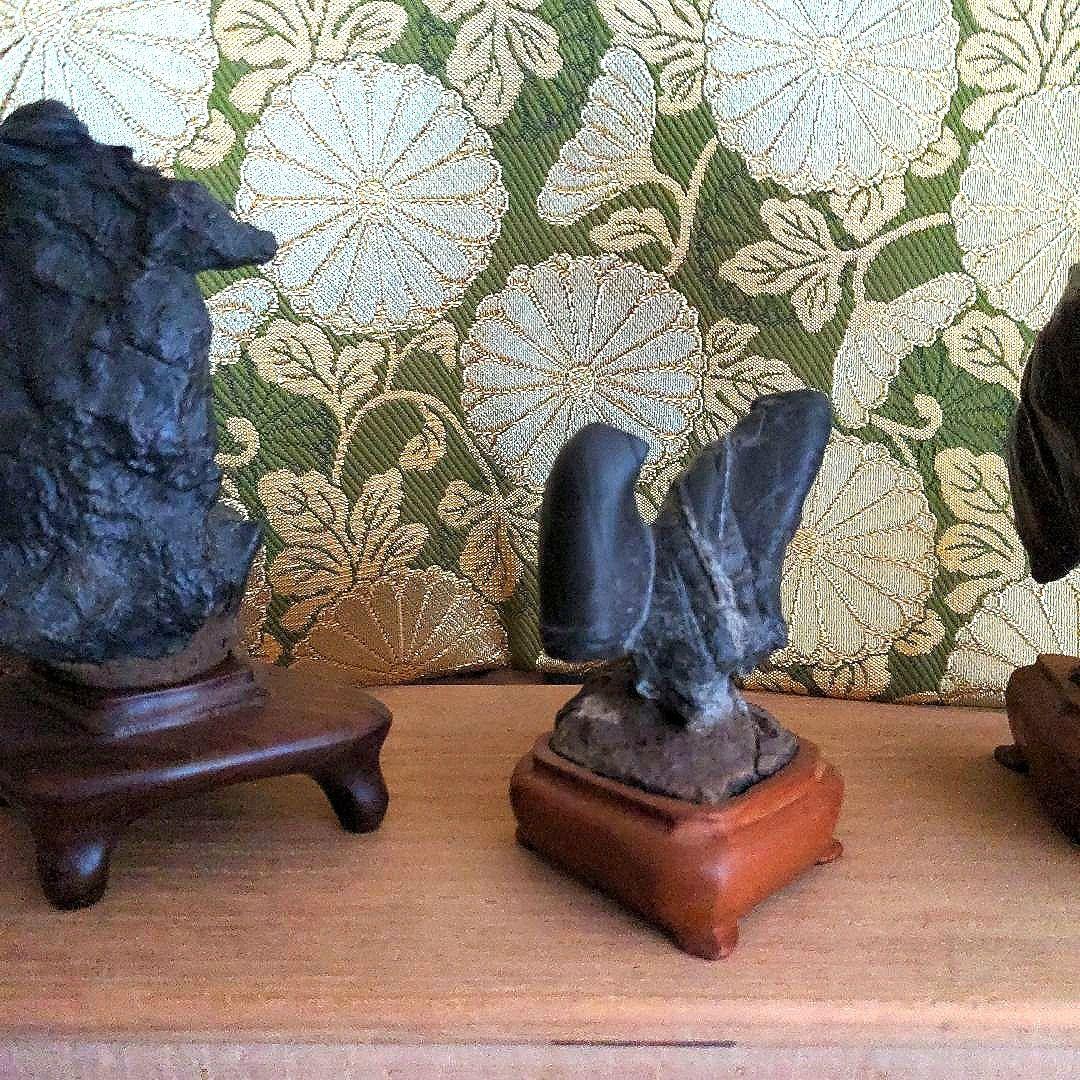 【最終価格】紀州名産　古谷石　銘、親子鶏　　谷本百穂箱書付　水石　盆石