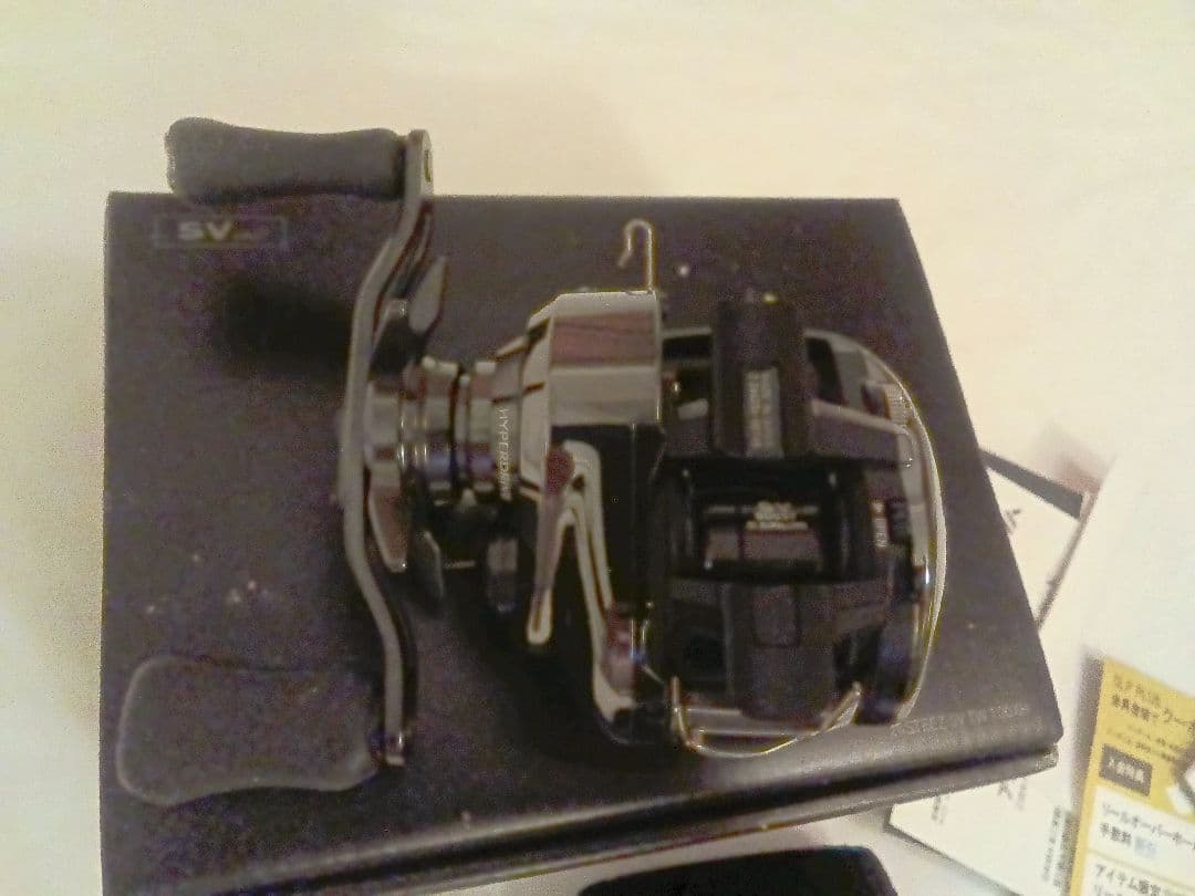 リール 24STEEZ SV TW 100XH