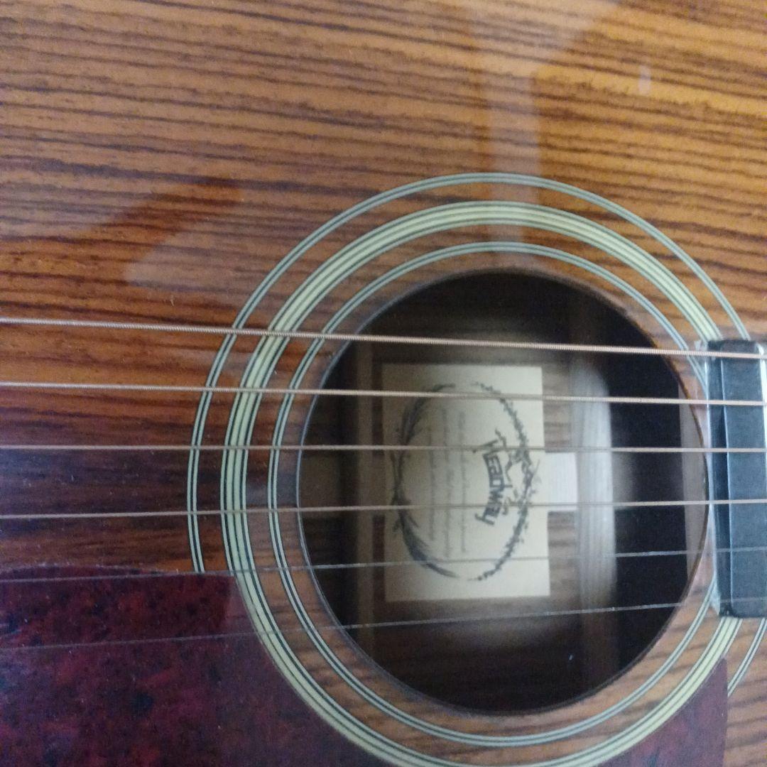 ヘッドウェイパーラーギター