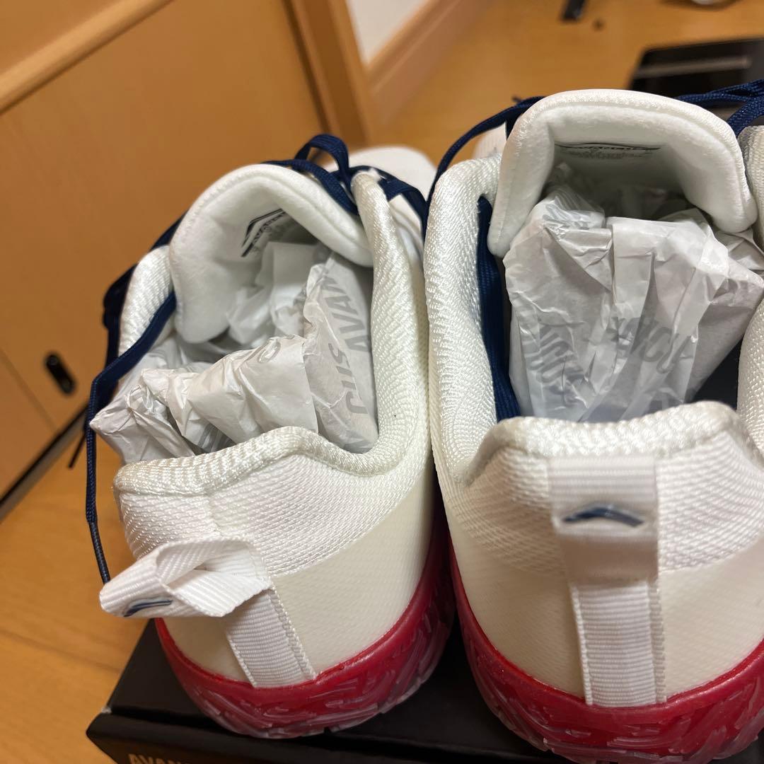 AVANCUS APEXPIWERV3 USA色 EUsize40約24.5cm