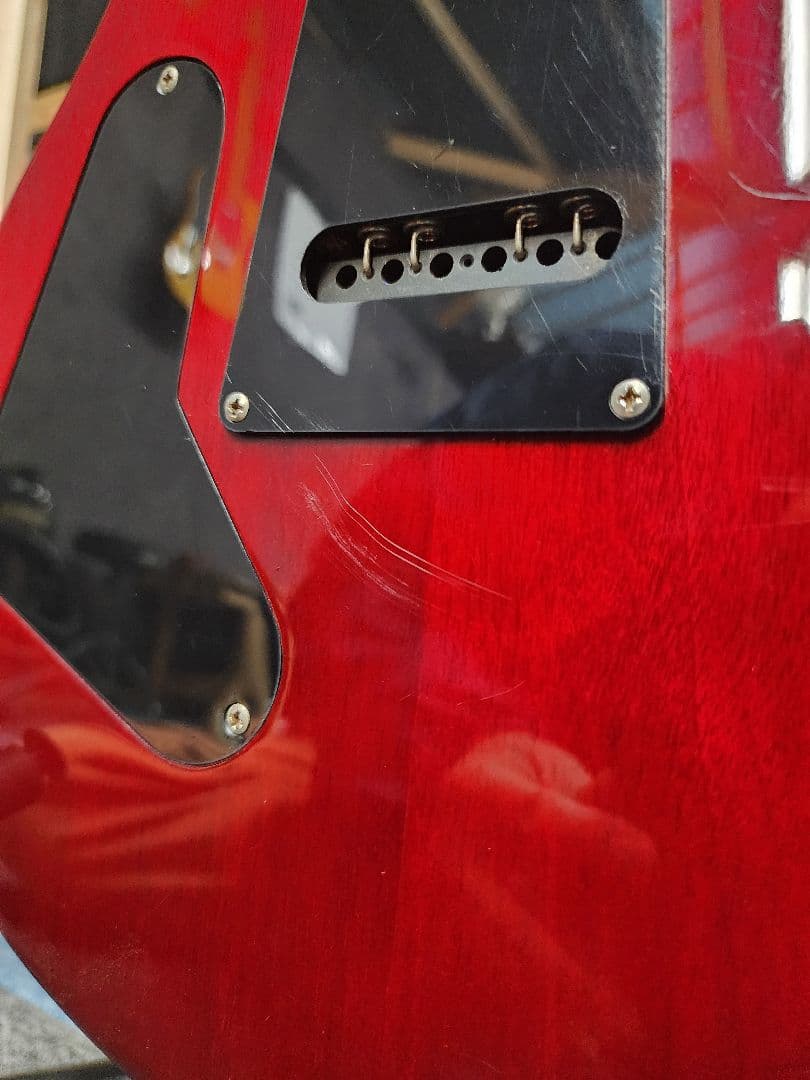 ギター PRS SE Custom 24 25th Anniversary