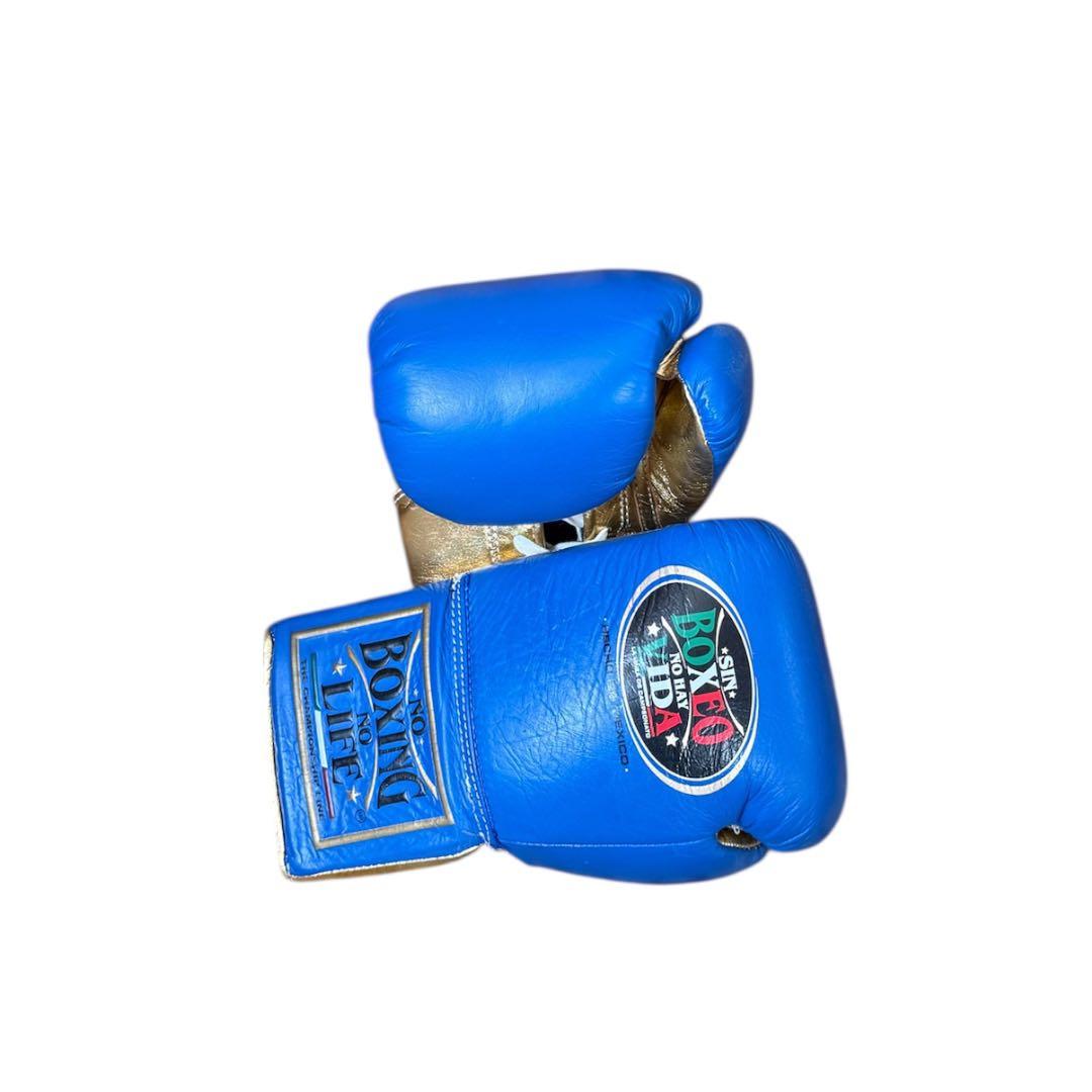 『新品未使用品』ボクシンググローブ No Boxing No Life 10oz