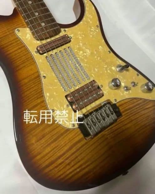 【珍品・激レア】Santanu Pro 光るギター