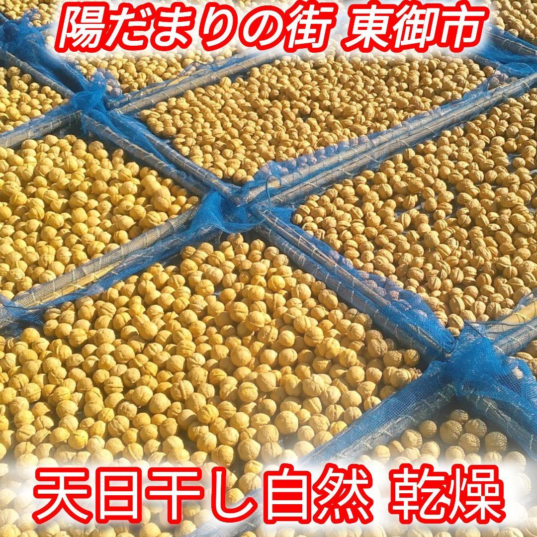 【ジャンドゥーヤ商品】 25年産 新物 国産 殻付き信濃くるみ 長野県産