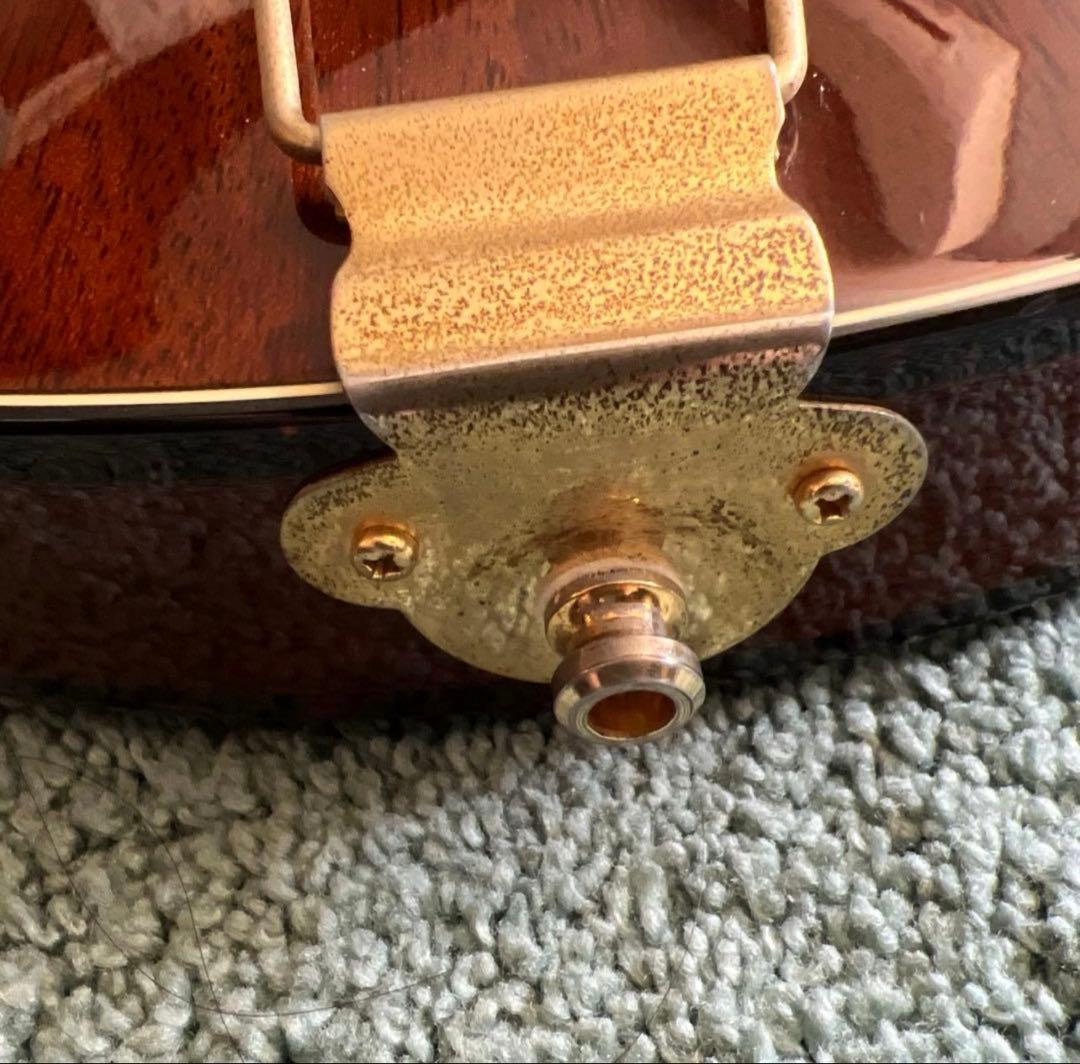 Rozeo Ladybug TBC ロゼオ　フルアコ