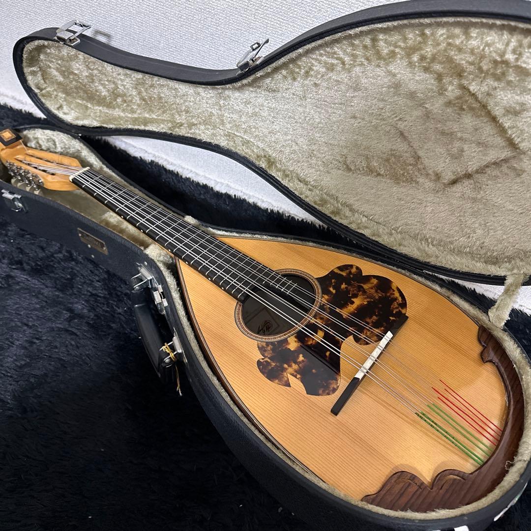 激レア! S.Watanabe No.250 マンドラ 弦楽器 ケース付属