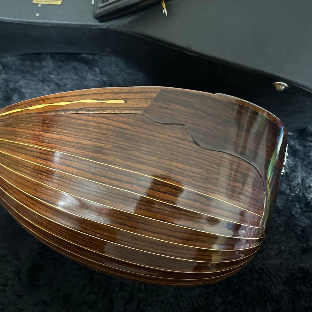 激レア! S.Watanabe No.250 マンドラ 弦楽器 ケース付属