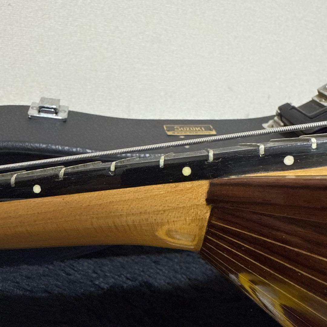 激レア! S.Watanabe No.250 マンドラ 弦楽器 ケース付属