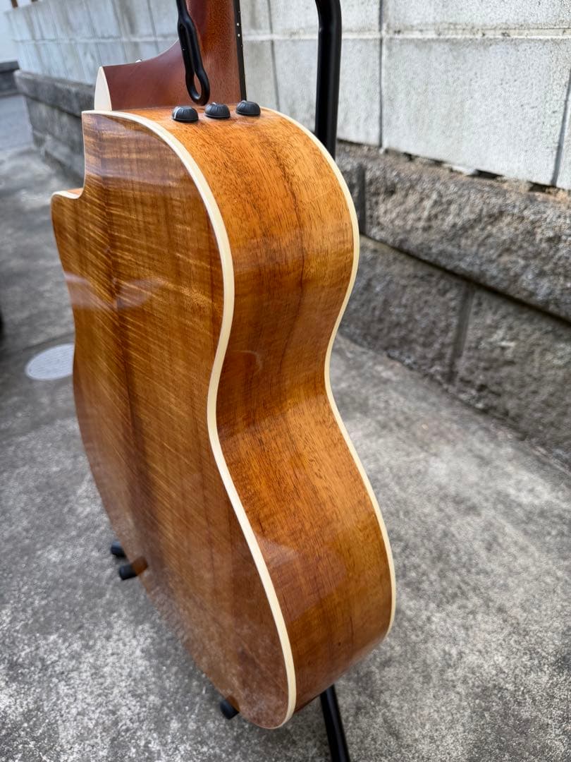 Taylor 214ce-K DLX ES2 エレアコ 純正HC 書類レシート有