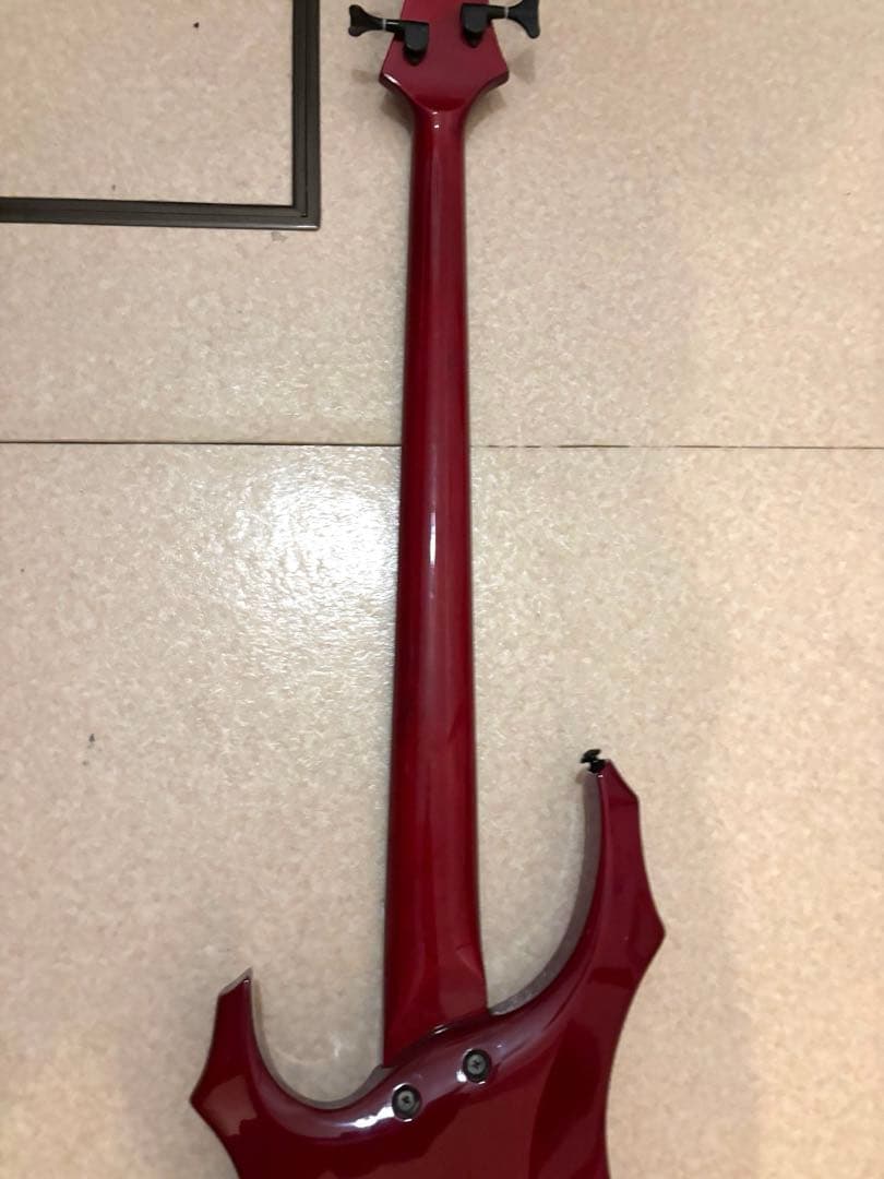 た*ぬ様 GrassRoots　グラスルーツ　フォレスト　ベース