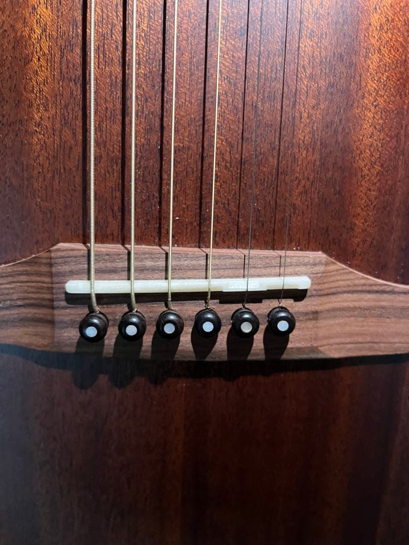 ギター Fender Newporte Special (natural)