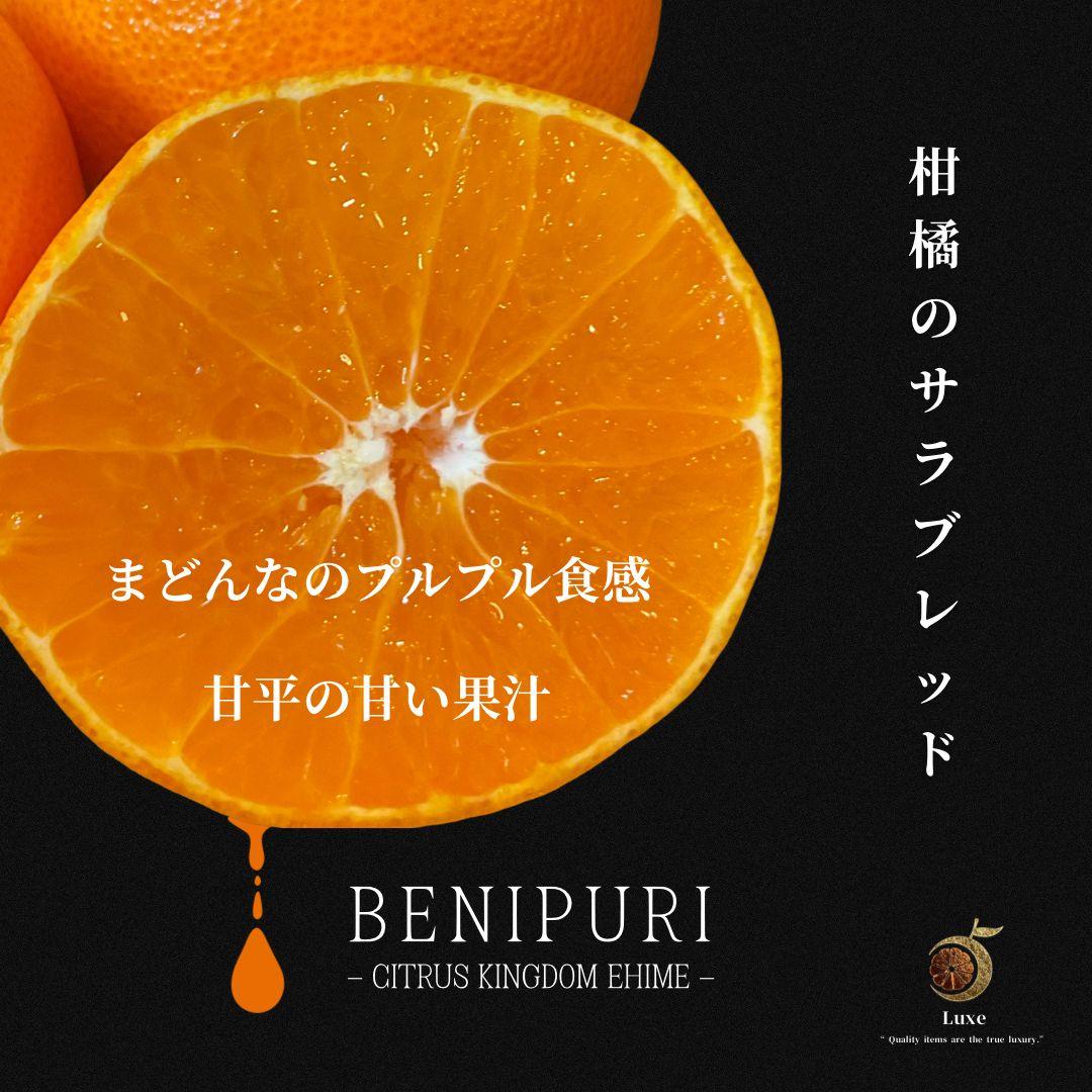 新品種‼️愛媛産　紅ぷり　紅プリンセス同品種　秀品8kg　ぷるぷるジューシー