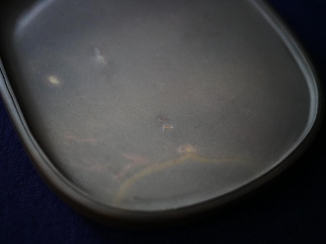 【CBS02】坑仔巌　端渓