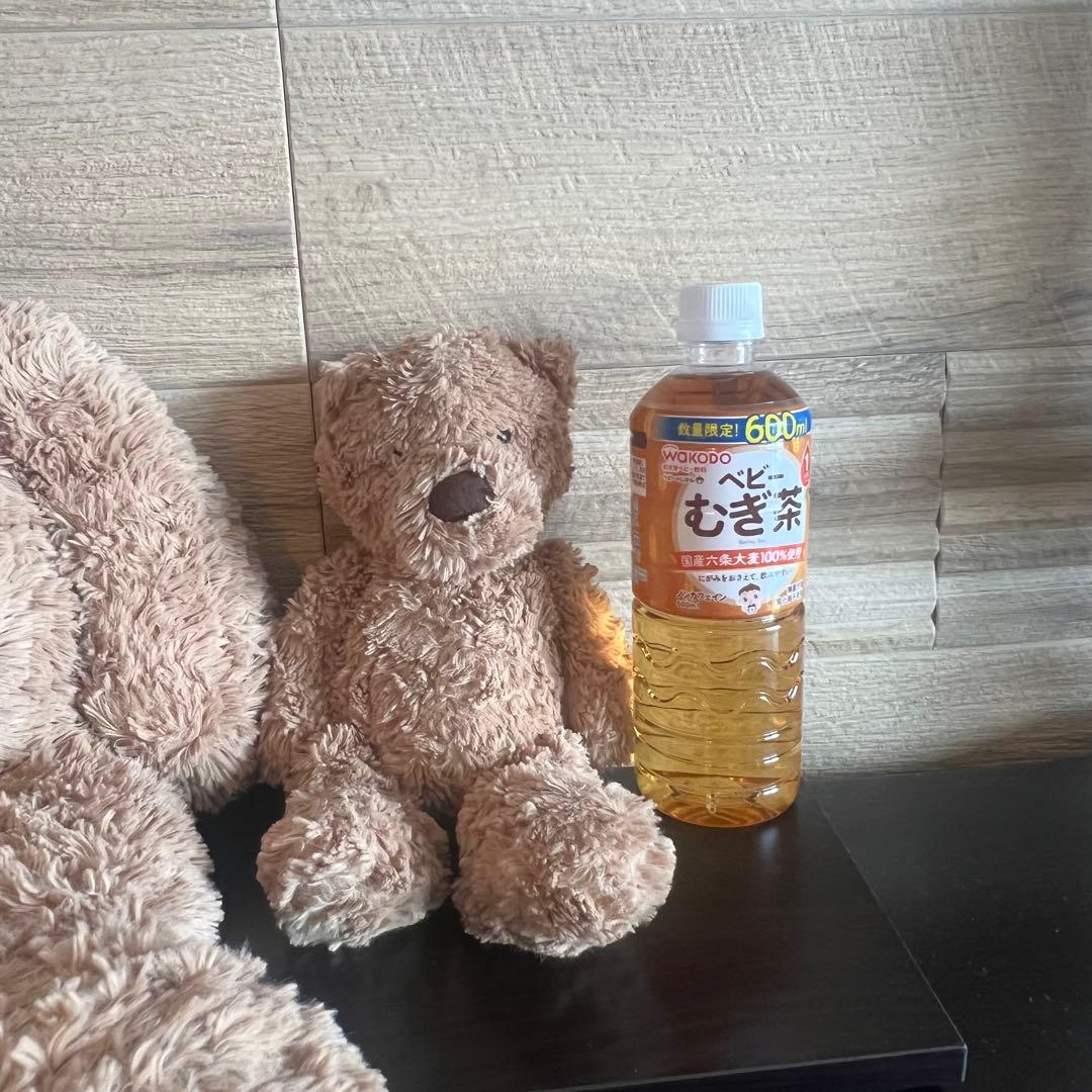 ジェリーキャット　くまさん　大きい方のみ