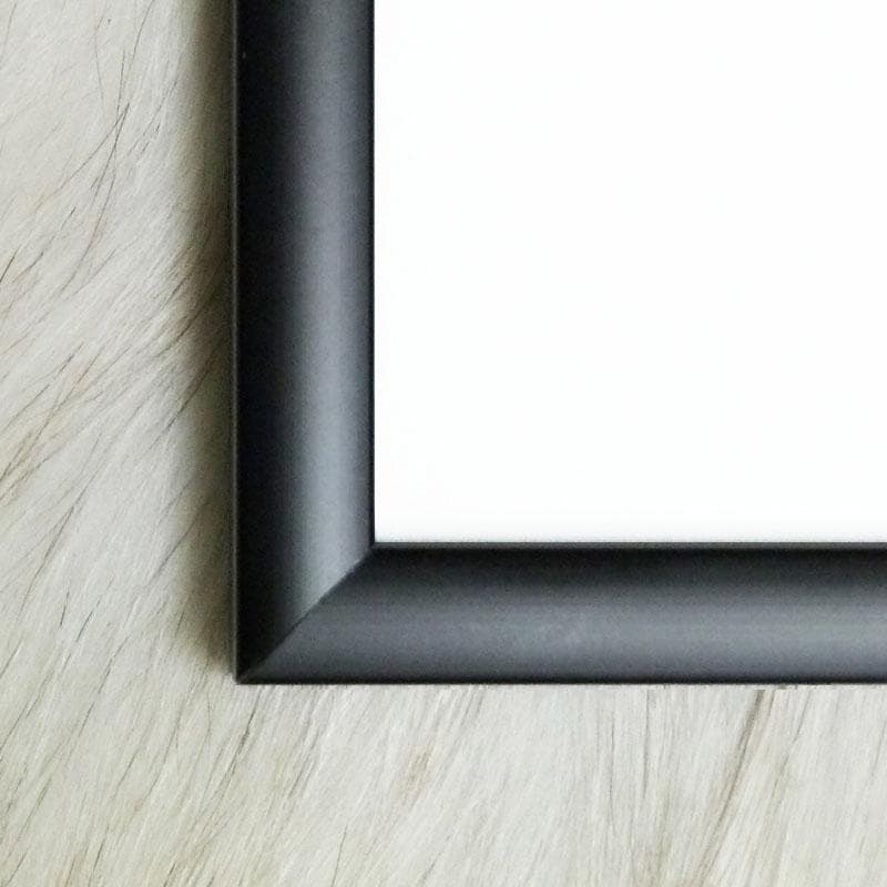 額装品/Visages（タハラ ケイイチ）フォト モノクロ アートポスター