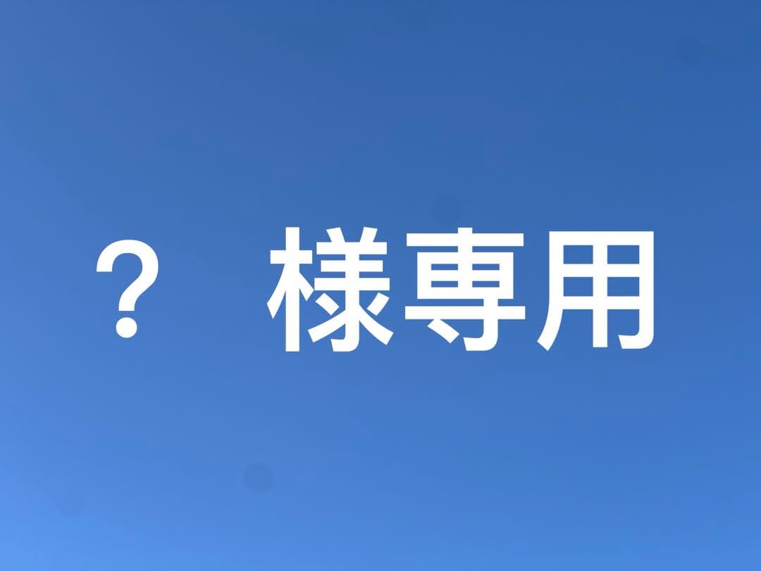 中国美術　ヒスイ？　ネズミ　干支　高浮彫　財運金運風水開運風水　玉璧　超希少
