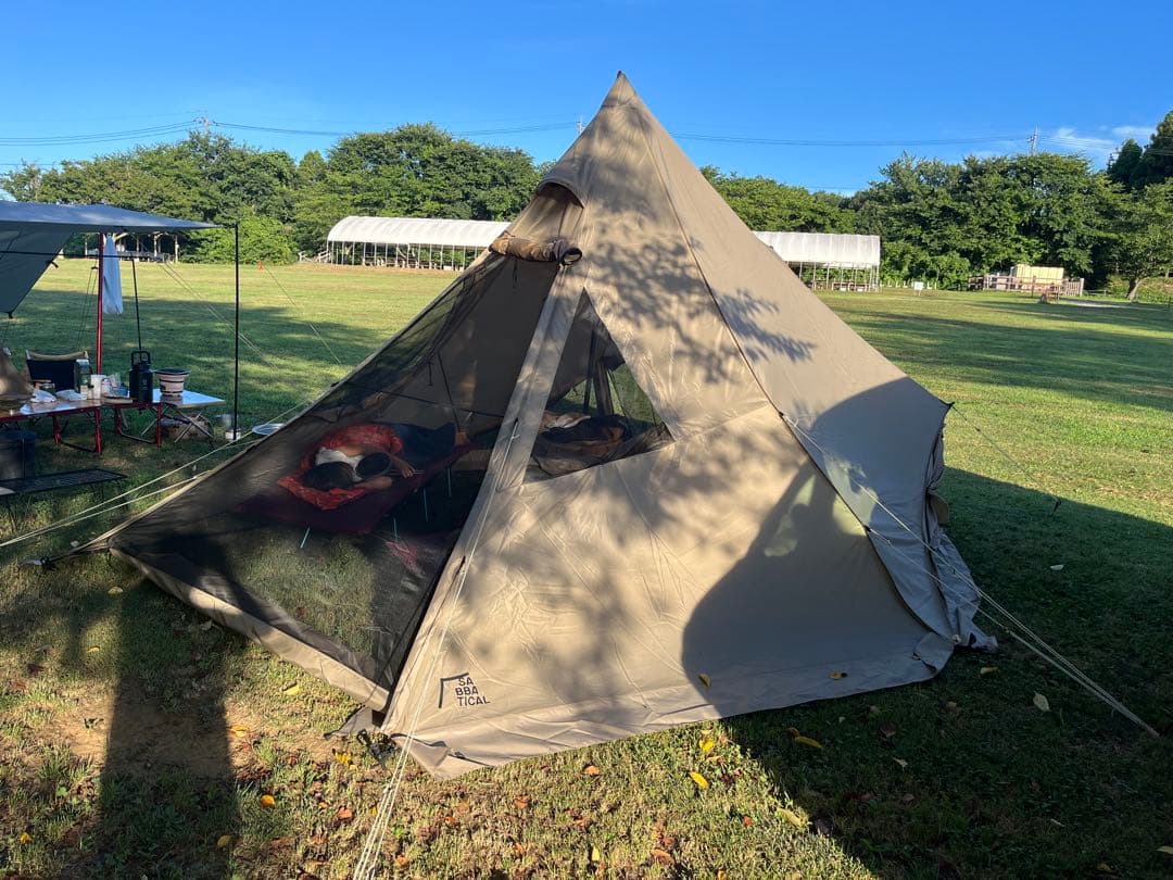 サバティカル　モーニンググローリー　シンセティックプラス