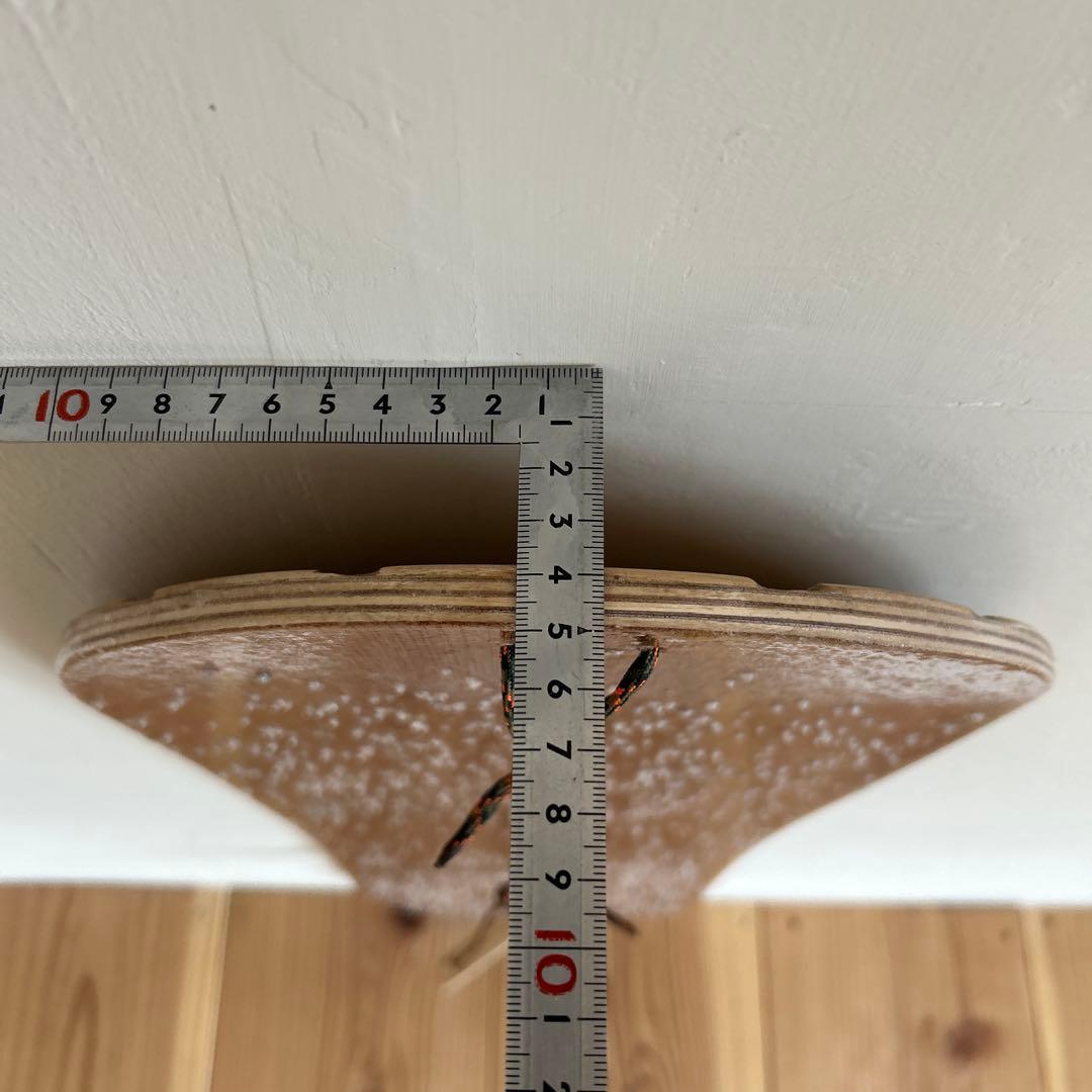 自作の雪板(スノートイ)890mm