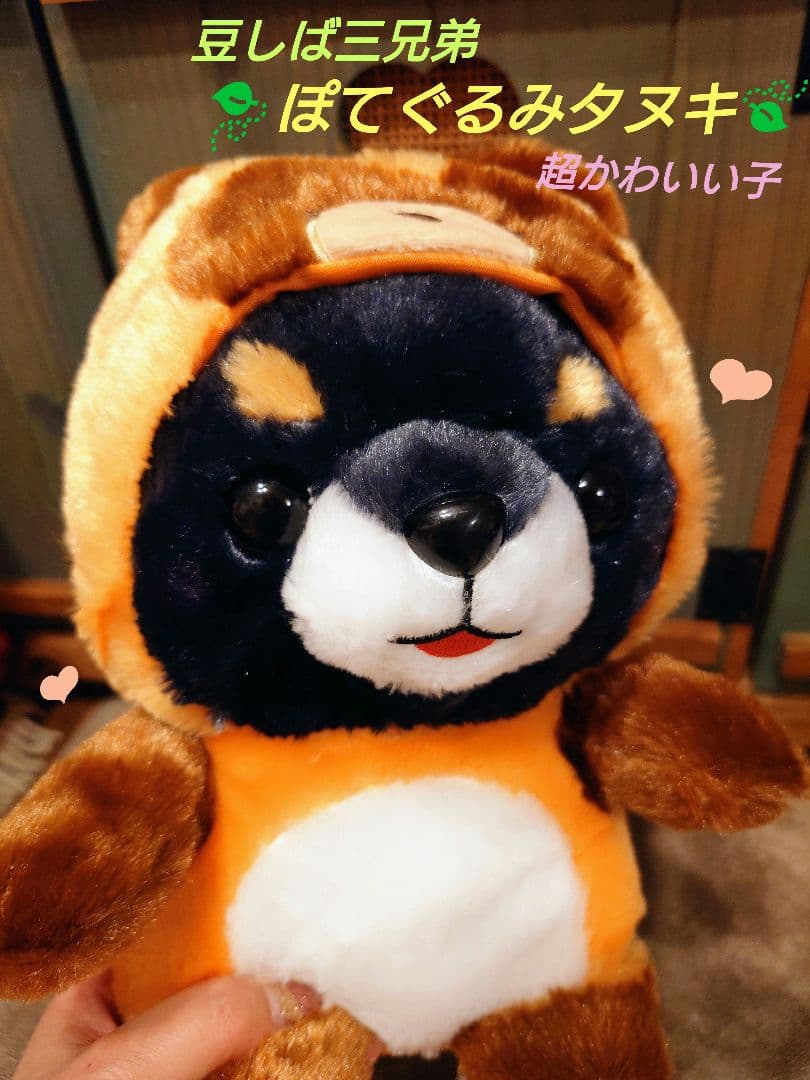 豆しば三兄弟 ぽてぐるみタヌキ 豆ジロー JB